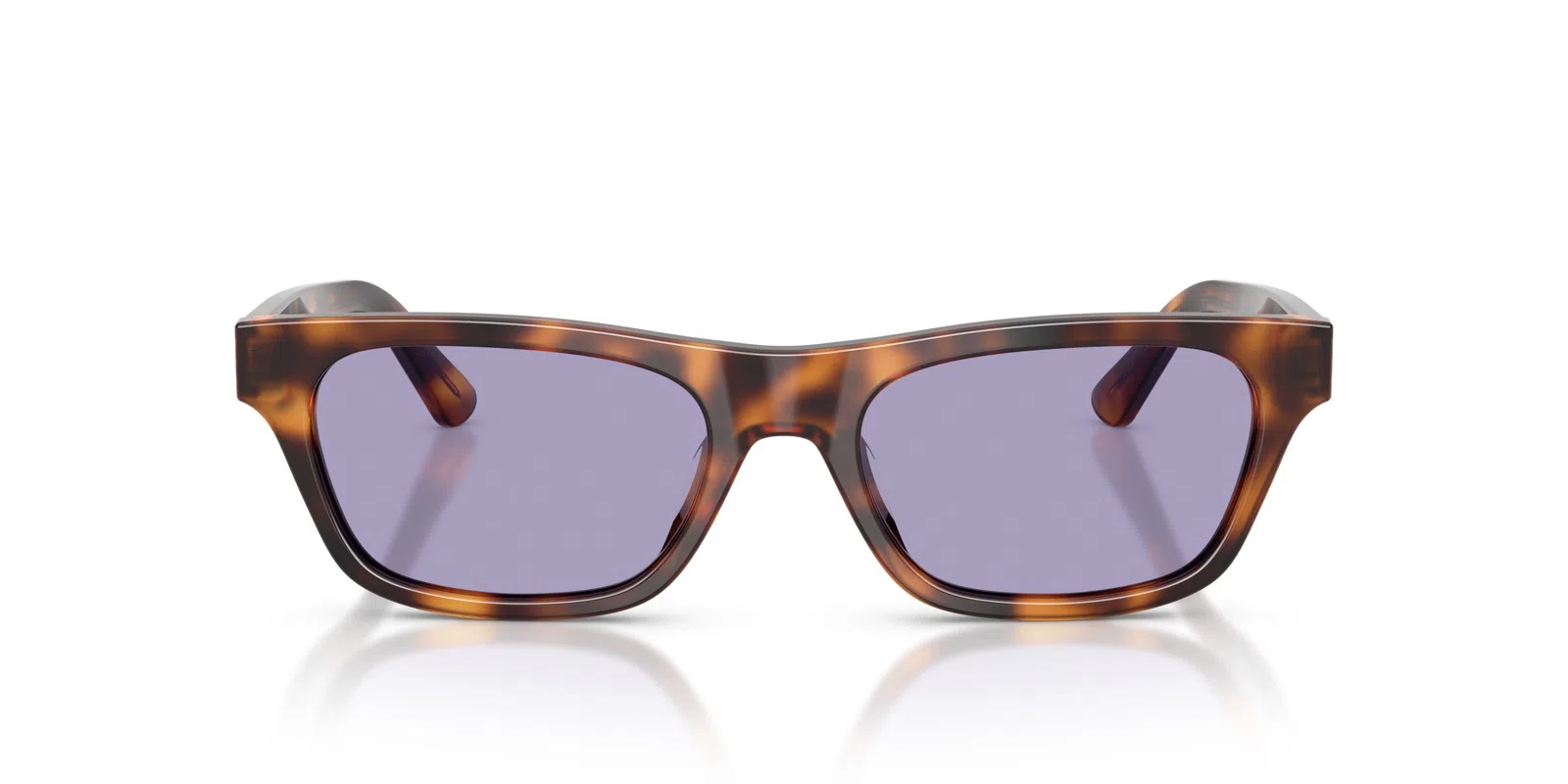 Polo 4238U Sunglasses - Shiny Black - view 12